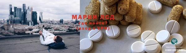 ГАЛЛЮЦИНОГЕННЫЕ ГРИБЫ Аркадак