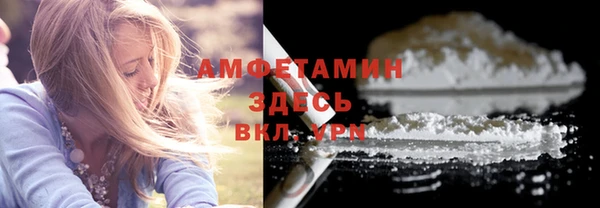 прущая мука Арсеньев