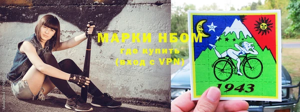 ГАЛЛЮЦИНОГЕННЫЕ ГРИБЫ Аркадак