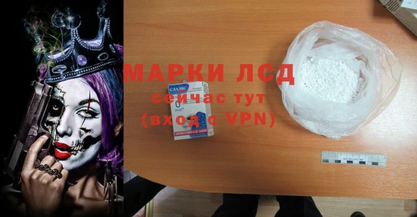 ГАЛЛЮЦИНОГЕННЫЕ ГРИБЫ Аркадак