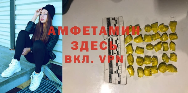 индика Грязовец