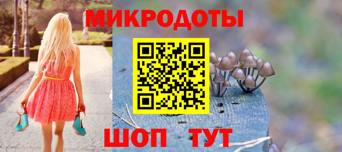 Карабулак  Псилоцибиновые грибы Cubensis  Вход с VPN  Галлюциногенные грибы MAGIC MUSHROOMS 